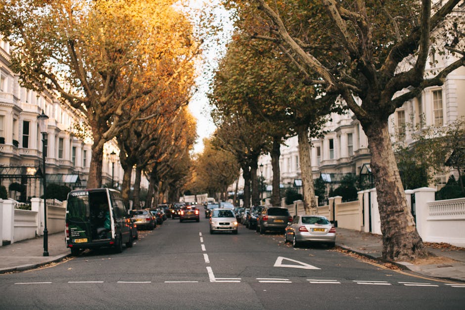 A residential street scene during daytime shows a row of parked cars on both sides of the asphalt road, with various makes and models, including small hatchbacks and larger vans. Toward the far end of the street, a blue and white Removal Van Finsbury Park is visible, positioned for loading or unloading. The van's rear doors are open, revealing the interior with packed cardboard boxes and bubble wrap, indicating a home relocation process. In front of the van, a large wooden furniture dolly is being used to transport a partially visible piece of furniture wrapped in protective fabric and secured with plastic straps. The street is lined with terraced houses featuring brick facades, some with small garden areas or hedges, and there are overhead electrical wires stretching across the scene. The background includes lush green trees and a partly cloudy sky. This image captures the logistics of furniture transport and packing in a typical residential moving scenario, illustrating the work involved in home removals and the use of professional services like [COMPANY_NAME].